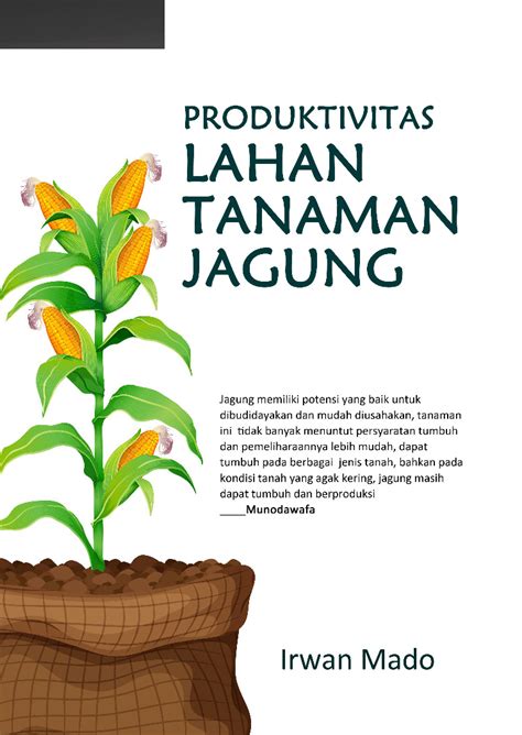 Produktivitas Lahan Tanaman Jagung Azkiya Publishing