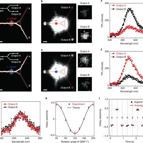 Schematic Of The Nanophotonic Circuit A Illustration Of The