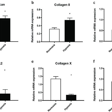 Hypoxia Promoted The Chondrogenic Differentiation And Prevents The