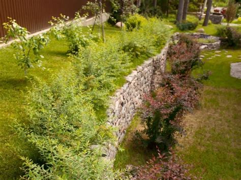 Черная речка