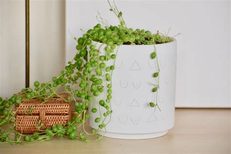 Boob Planter Nude Plant Pot Coquette Quirky Home Decor Funny Planters Tatas Carved Planter