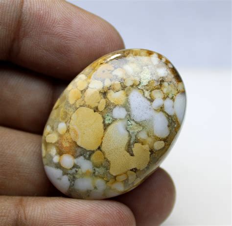 Natural Cobra Jasper Gemstone Natural Cobra Jasper Cabochon Etsy