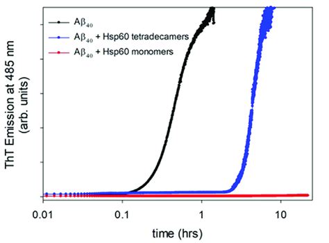 Time Course Of ThT Fluorescence Emission At 37 C For A Sheared Sample