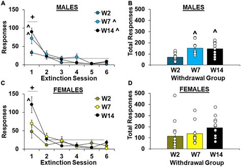 Frontiers Sex Differences In The Neuroadaptations Associated With