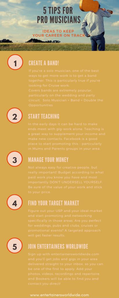 5 Tips For Professional Musicians Infographic Entertainers Worldwide