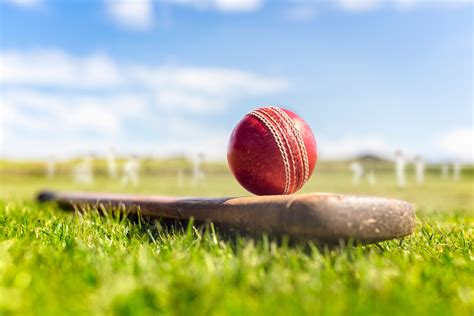 zealand cricket taps imagen  aws  score big  fans