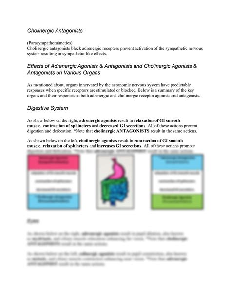 Solution Agents And Actions Of The Autonomic Nervous System Autonomic