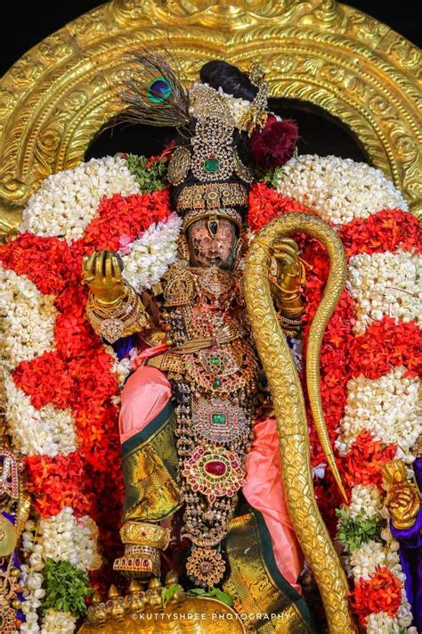 Idol Of Sri Varadaraja Swamy Divine Krishna Statue