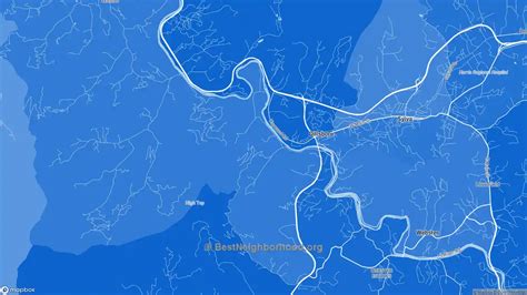 Race, Diversity, and Ethnicity in Dillsboro, NC | BestNeighborhood.org