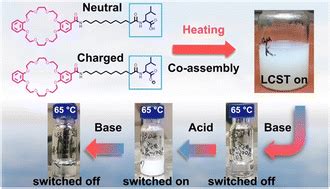 Ph Responsive Lower Critical Solution Temperature Behaviour Of A