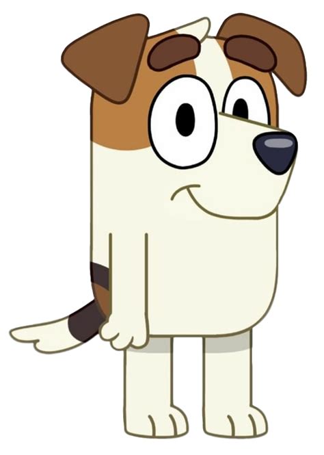 Jack Russell Bluey Wiki Fandom