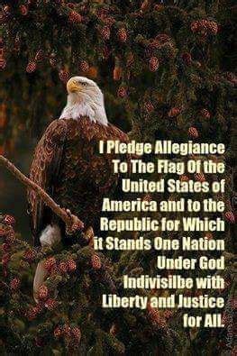 Pin By Robert Elliott On Pledge Of Allegiance Patriotic Quotes I Love America American Soldiers