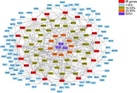 Transcription Factor Network Of The Masp 1 Induced Ir Genes The