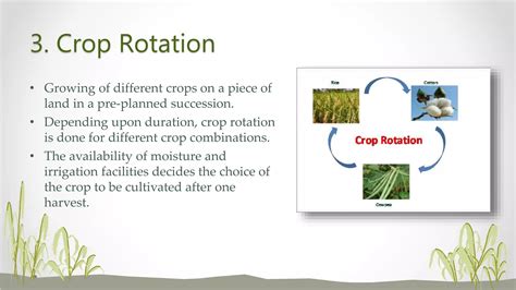 Cropping pattern | PPT