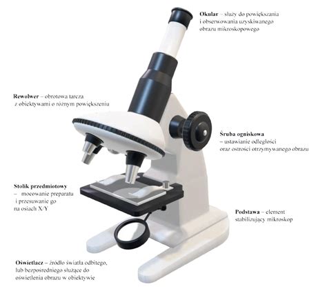 Metody Mikroskopowe W Mikrobiologii Labportal