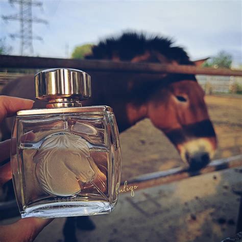 Lalique Pour Homme Equus Lalique Cologne - ein es Parfum für Männer 2001