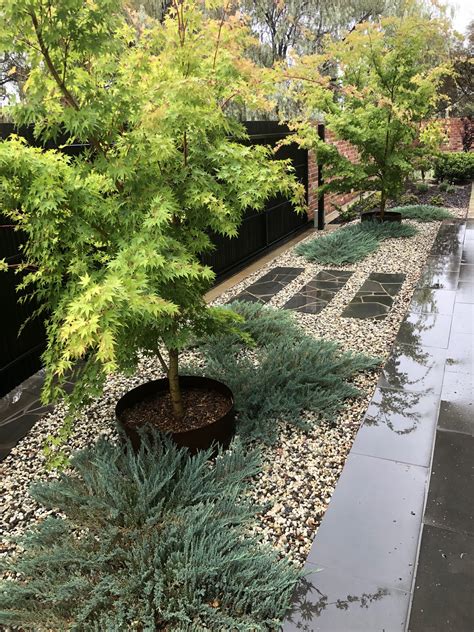 Wholesale Plants & Products... - Wholesale Plants & Products
