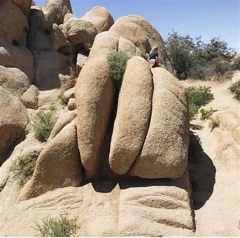 Pussy Rock R Dontputyourdickinthat