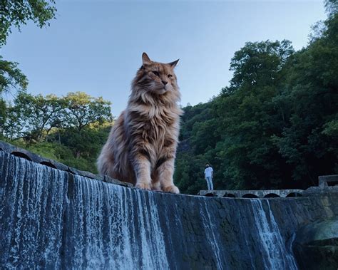 Artist Andrey Shcherbak Continues His Photographic Journey With Huge ...