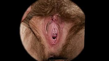 Female Textures Sweet Nest HD 1080p Vagina Close Up Hairy Sex Pussy