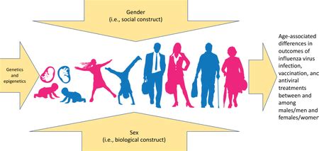 The Intersection Of Sex And Gender In The Treatment Of Influenza Abstract Europe Pmc