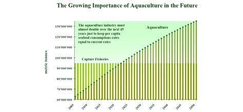 aquaculture investment advisory services aquasol