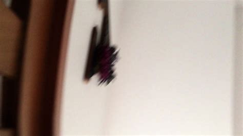 Panther Babe Blows Cock