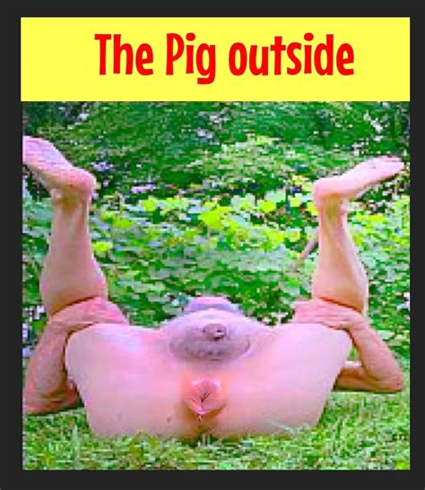 Piggy Nude Pics Xhamster