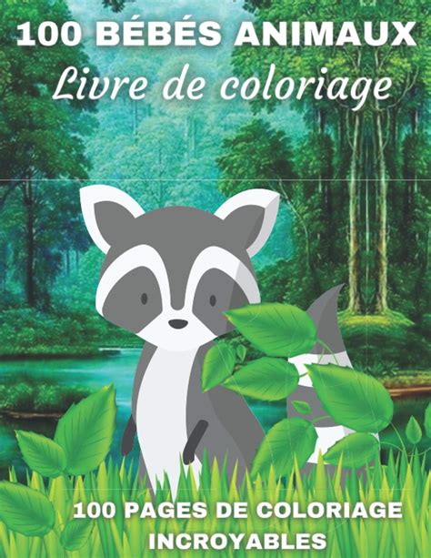 Buy B B S Animaux Livre De Coloriage Livre De Coloriage Pages