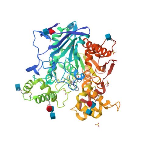 Rcsb Pdb Awi Crystal Structure Of Human Butyrylcholinesterase In