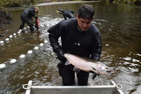 Salmon Boy A Very Fishy Tale Vitalchoice Blog