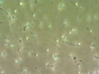 A Girls Guide To St Century Sex