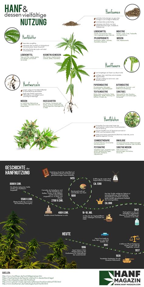 Hanf Infografik Alles Was Du Wissen Musst Hanf Biz