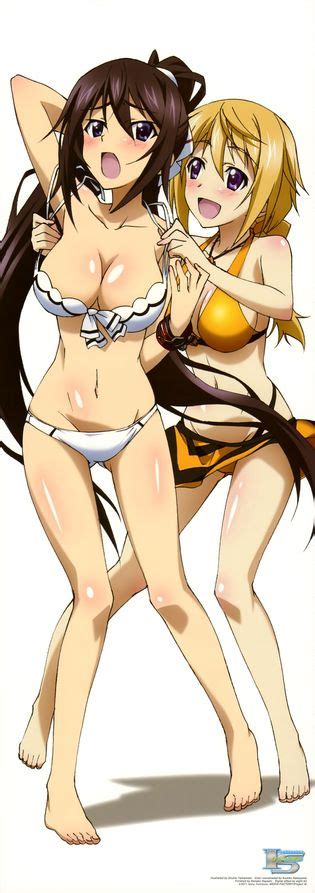 Infinite Stratos Luscious Hentai Manga Porn