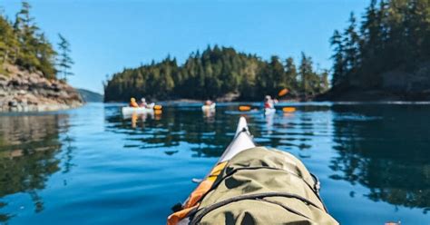 Telegraph Cove: Half-Day Kayaking Tour | GetYourGuide