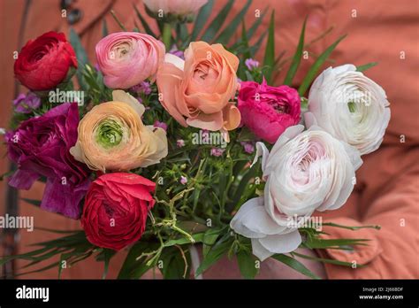 Blumenstrauss Mit Rosen Rosa Und Ranunkeln Ranunculus Asiaticus