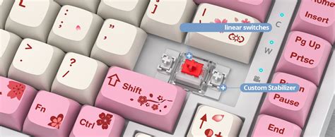 Amazon Mosptnspg Tkl Wired Mechanical Keyboard Rgb Backlit Gasket Mount Key Hot