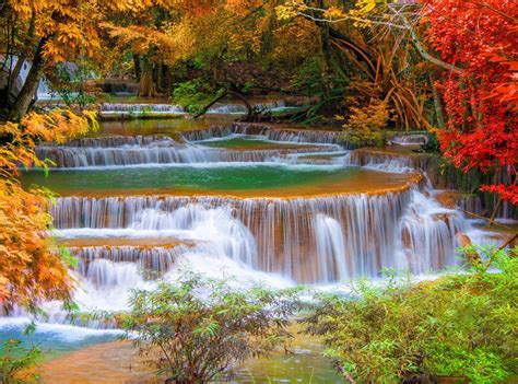 waterfall beautiful scenery flower nature wallpaper gif 3