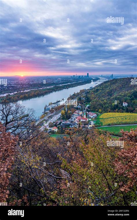 Vienna Sunrise At Vienna Vineyards River Donau Danube And Neue