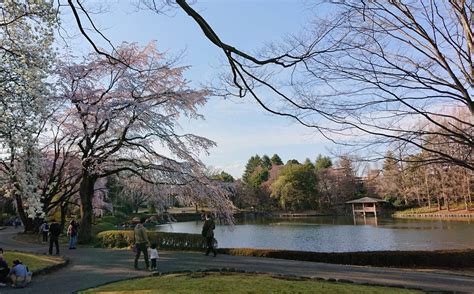 栃木県中央公園の口コミ Twipark