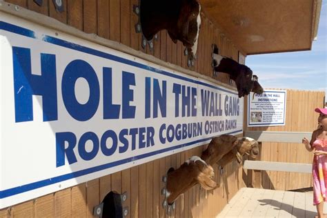 Rooster Cogburn Ostrich Ranch Arizona roadside attraction - Brie Brie ...