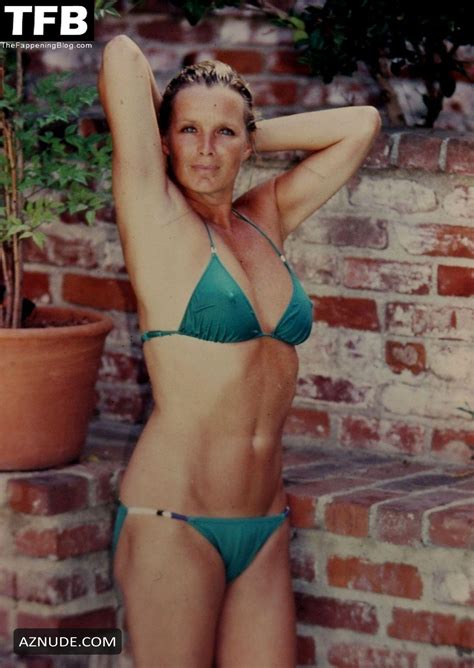 LINDA EVANS Nude AZNude