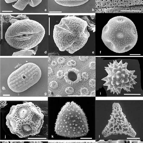 summary  pollen dispersal methods expected levels  pollen