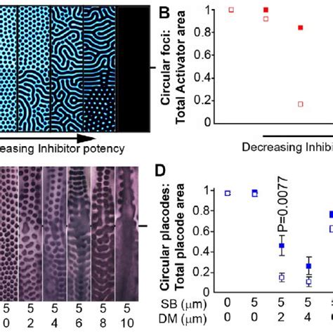 The Naked Neck Phenotype Is Caused By A Cis Regulatory Mutation That