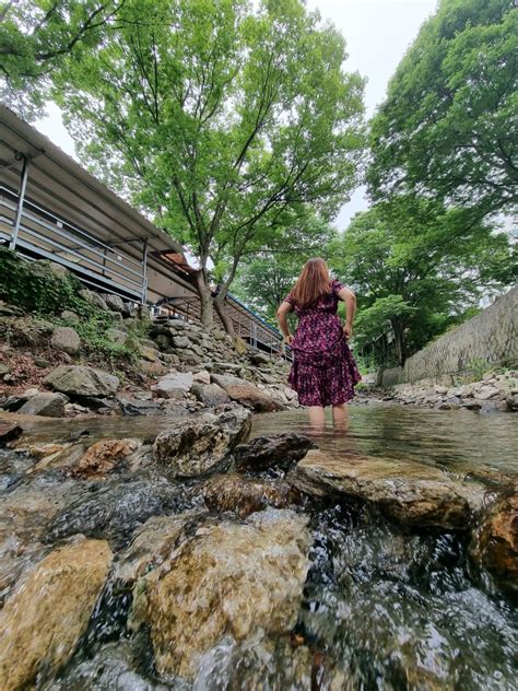 서울 근교 양주 계곡 백숙 먹는 시원한 야외물가자리 네이버 블로그