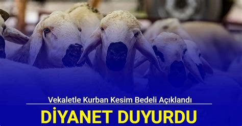 Vekaletle kurban kesim bedeli açıklandı