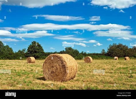 Round Bale Hi Res Stock Photography And Images Alamy