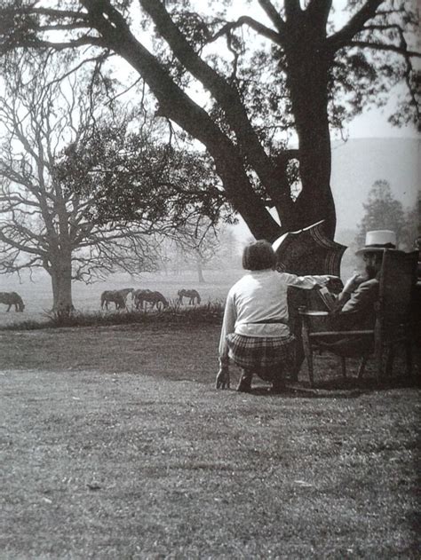 a man sitting at a table in front of a tree with horses grazing behind him