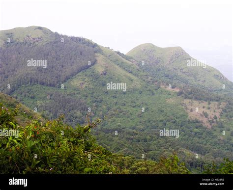 Ooty mountain peaks Stock Photo - Alamy