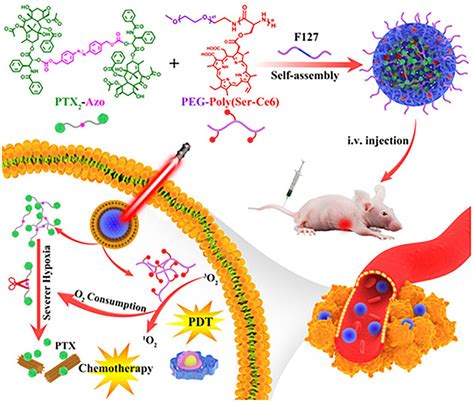 Design Of Hypoxia Responsive Nanomedicine Ce6ptx2 Azo Np And Its